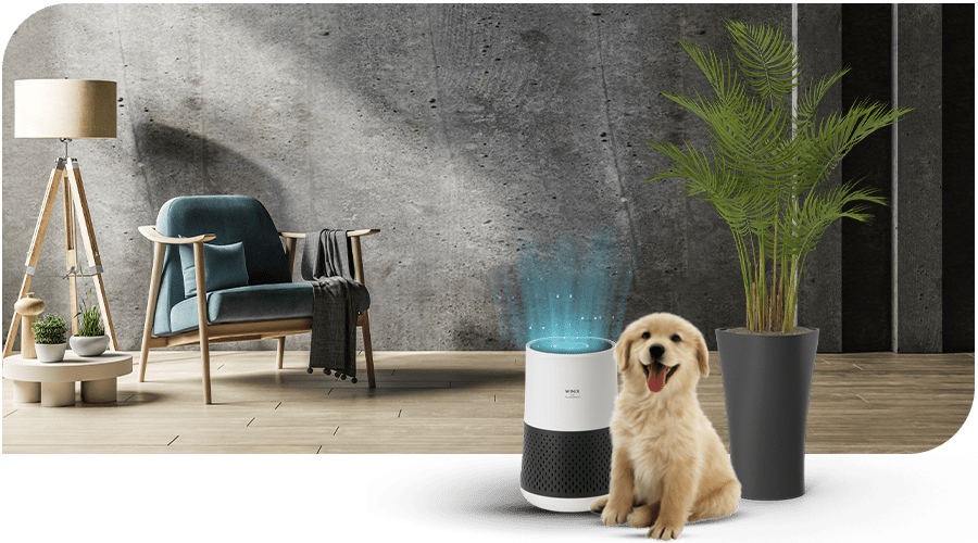 WINIX ZERO COMPACT naast een hond en kamerplanten WINIX PlasmaWave-Technologie